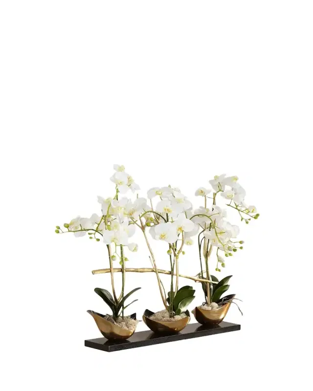 John-Richard Collection Silhouette Orchids II