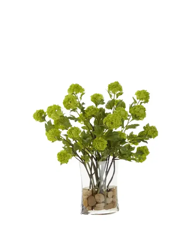 John-Richard Collection Vibrant Viburnum