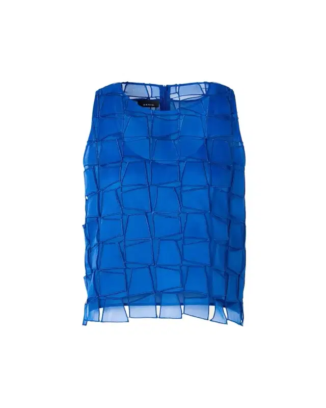 Embroidered Organza Sleeveless Blouse