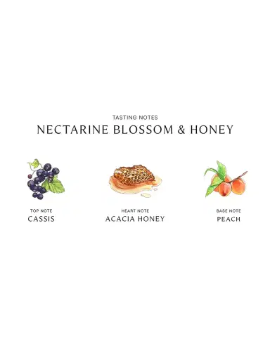 Jo Malone London Nectarine Blossom & Honey Cologne | Thumbnail 2 Jo Malone London Nectarine Blossom & Honey Cologne | Thumbnail 2