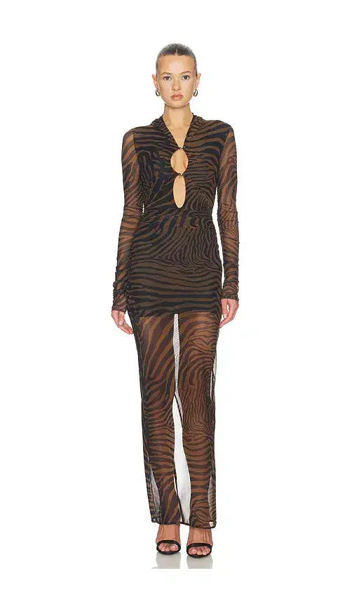 Print Net Dress