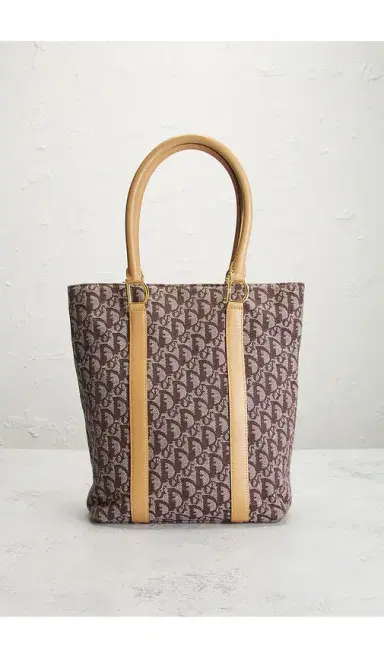 Dior Trotter Tote Bag | Thumbnail 2