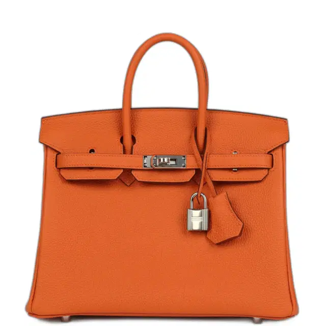 hermes Hermes Birkin 25 Orange Togo Palladium Hardware