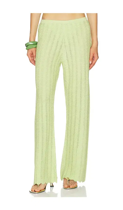 Gavi Pant
