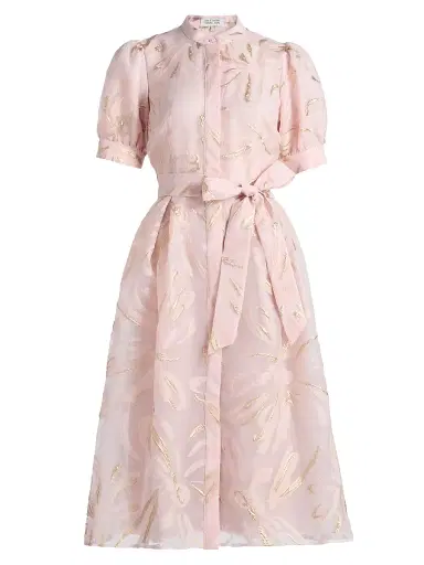 Teri Jon by Rickie Freeman Women's Metallic Organza Midi-Dress | Thumbnail 1