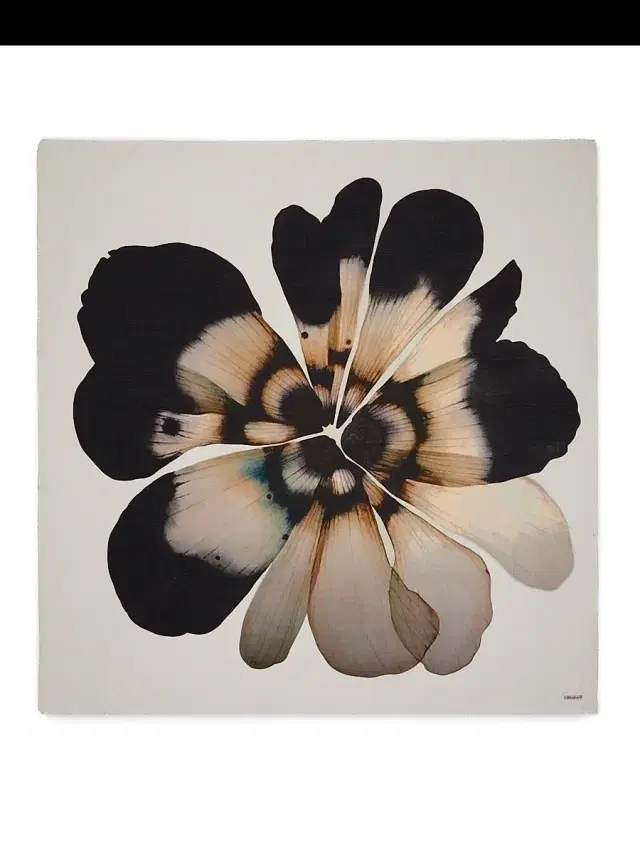Women's Fiorellina Floral Silk Shawl - Black And White Multi