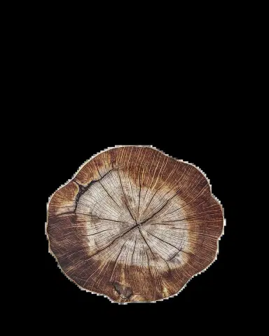 Kim Seybert Cedar Placemat | Thumbnail 2