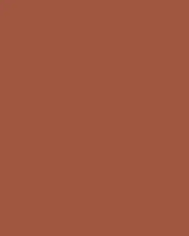 Kim Seybert Cedar Placemat | Thumbnail 3