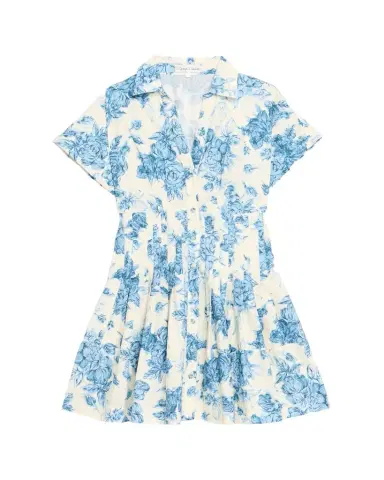 Cara Cara Nash Printed Button-Front Mini Dress | Thumbnail 1 Cara Cara Nash Printed Button-Front Mini Dress | Thumbnail 1