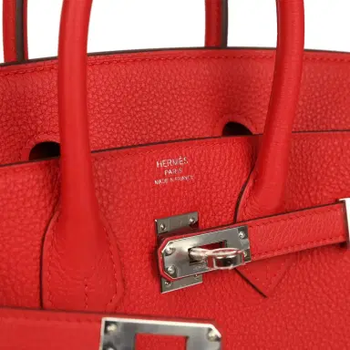 HERMÈS Hermes Birkin 25 Rouge Radieux Togo Palladium Hardware | Thumbnail 7 HERMÈS Hermes Birkin 25 Rouge Radieux Togo Palladium Hardware | Thumbnail 7