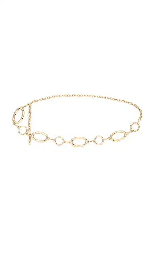 Multi-ring Chain Belt