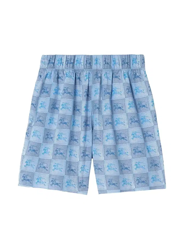 Burberry Little Boy's & Boy's Check EKD Shorts - Cornflower