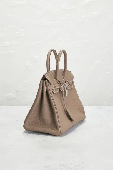 HERMÈS Togo Birkin 25 Handbag | Thumbnail 6