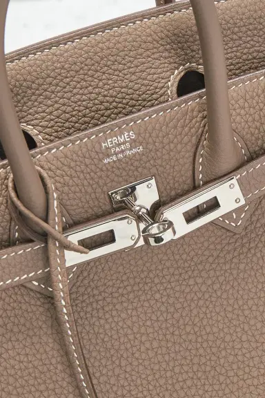 HERMÈS Togo Birkin 25 Handbag | Thumbnail 8