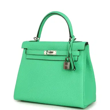 HERMÈS Hermes Kelly Retourne 25 Vert Comics Togo Palladium Hardware | Thumbnail 5