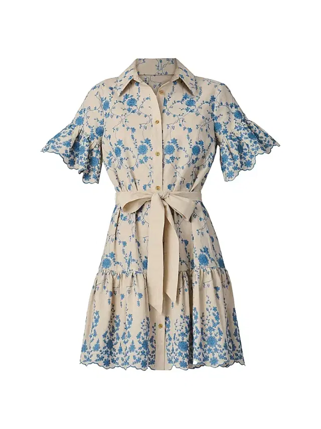 Shoshanna Women's Lima Floral Cotton-Blend Minidress - Flax Powder Blue