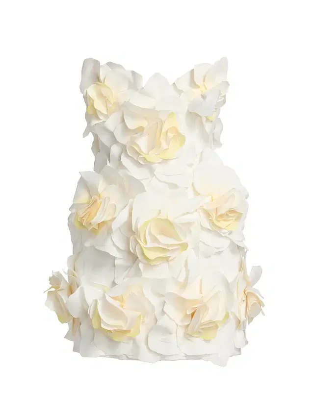 Acler Women's Jackhill 3D Floral Minidress -
