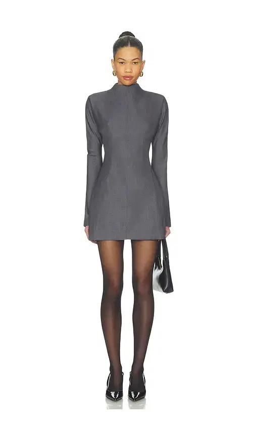 AEXAE Wool Contoured Turtleneck Long Sleeve Mini Dress