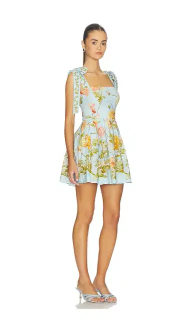 Cara Cara Tula Mini Dress | Thumbnail 2