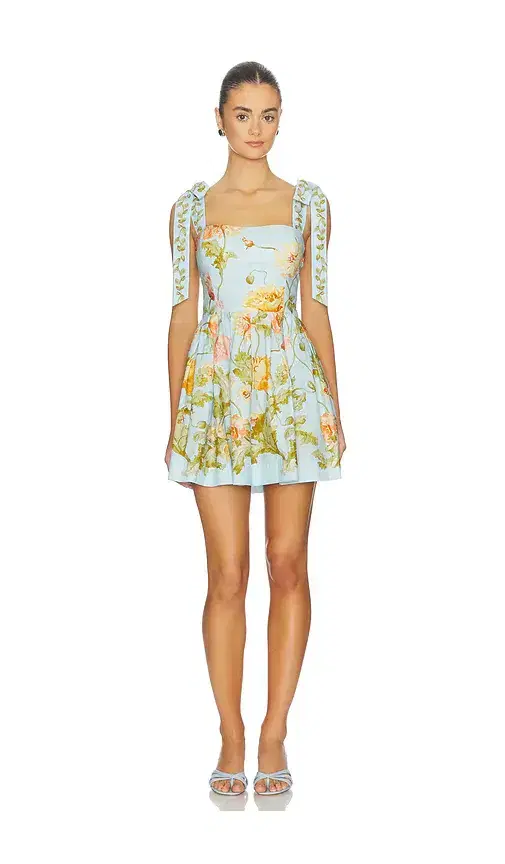 Tula Mini Dress