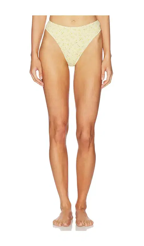 Paloma Bottom