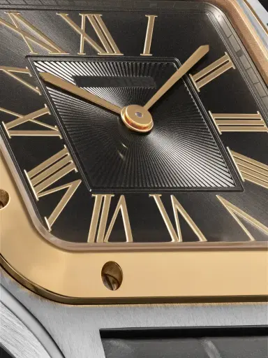 Cartier Santos-Dumont Large 18-Karat Gold, Stainless Steel Watch, Ref. W2SA0028 - Men | Thumbnail 5 Cartier Santos-Dumont Large 18-Karat Gold, Stainless Steel Watch, Ref. W2SA0028 - Men | Thumbnail 5