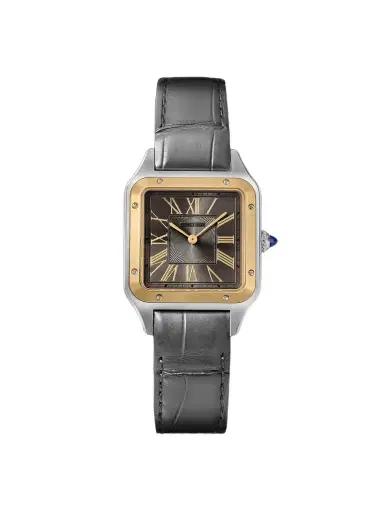 Cartier Santos-Dumont Large 18-Karat Gold, Stainless Steel Watch, Ref. W2SA0028 - Men | Thumbnail 1 Cartier Santos-Dumont Large 18-Karat Gold, Stainless Steel Watch, Ref. W2SA0028 - Men | Thumbnail 1