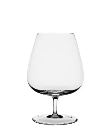William Yeoward Crystal Olympia Brandy Glass | Thumbnail 1