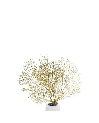 Michael Aram Limited Edition Fan Coral Sculpture | Thumbnail 1