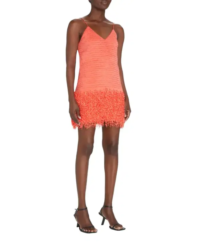 Striped Jacquard Fringe Mini Dress