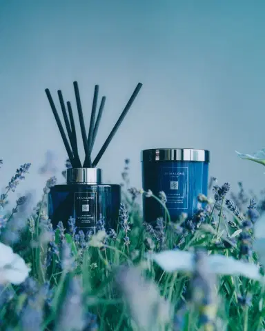 Jo Malone London 5.6 oz. Lavender & Moonflower Diffuser | Thumbnail 2 Jo Malone London 5.6 oz. Lavender & Moonflower Diffuser | Thumbnail 2