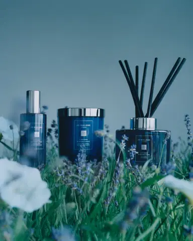 Jo Malone London 5.6 oz. Lavender & Moonflower Diffuser | Thumbnail 3 Jo Malone London 5.6 oz. Lavender & Moonflower Diffuser | Thumbnail 3
