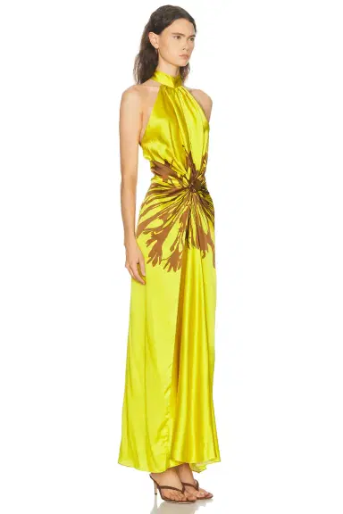 Silvia Tcherassi Koori Dress | Thumbnail 2