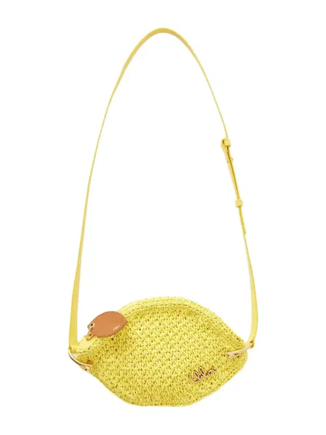 Tropicus Embellished Leather-trimmed Woven Shoulder Bag