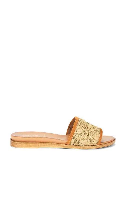 Seychelles Dakota Sandal