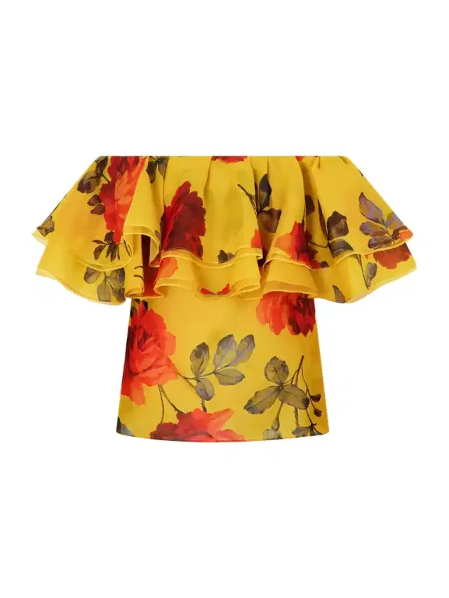 Off-the-shoulder Ruffled Floral-print Silk-organza Top