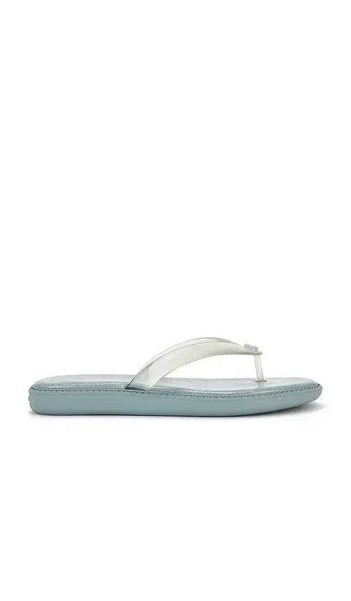 Jelly Flip Flop Sandal