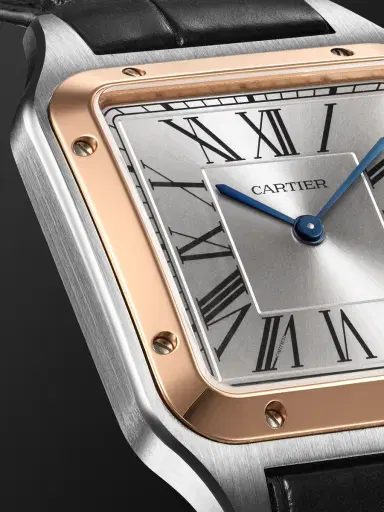 Cartier Santos-Dumont Large 18-Karat Rose Gold and Stainless Steel Watch, Ref. W2SA0037 - Men | Thumbnail 5