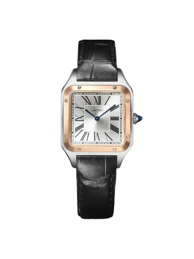 Cartier Santos-Dumont Large 18-Karat Rose Gold and Stainless Steel Watch, Ref. W2SA0037 - Men