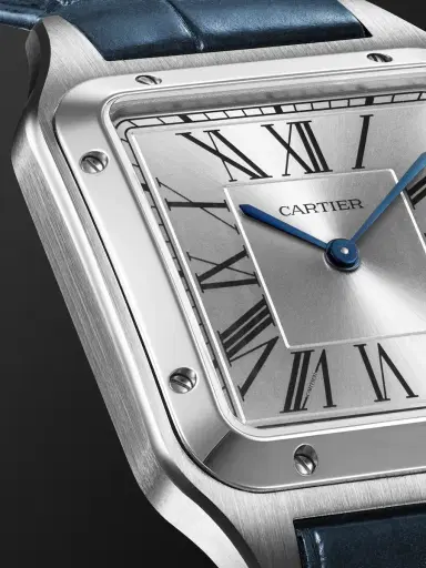 Cartier Santos-Dumont Large Stainless Steel Watch, Ref. W2SA0085 - Men | Thumbnail 5 Cartier Santos-Dumont Large Stainless Steel Watch, Ref. W2SA0085 - Men | Thumbnail 5