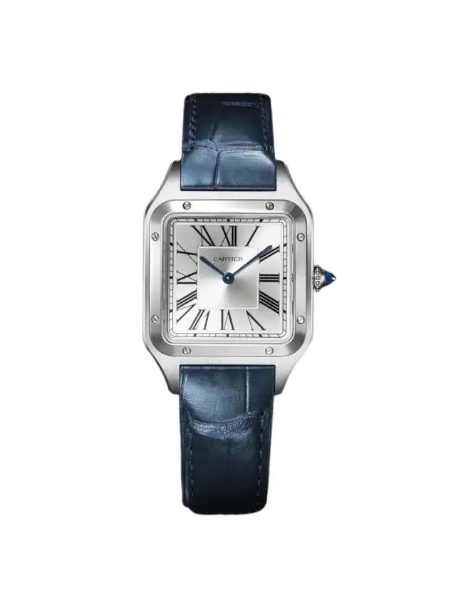 Cartier Santos-Dumont Large Stainless Steel Watch, Ref. W2SA0085 - Men