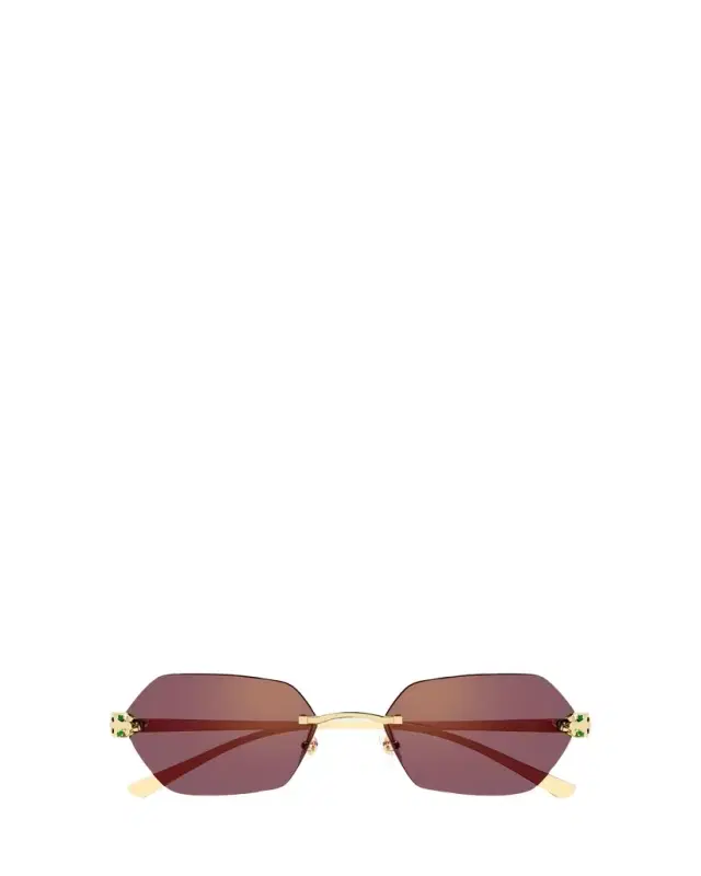 Cartier Panthère de  55mm Geometric Sunglasses
