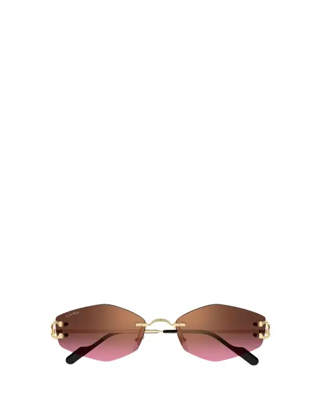Cartier 56mm Geometric Oval Sunglasses