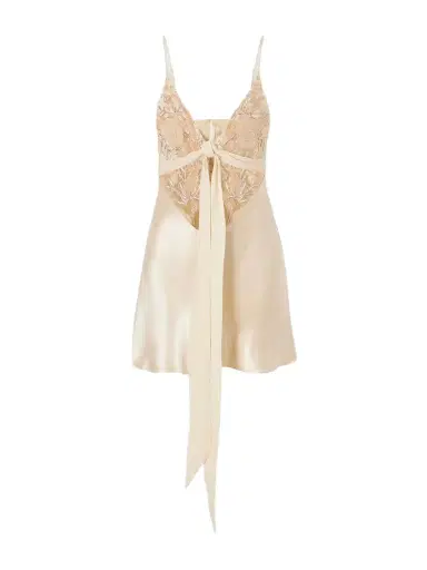 Wiederhoeft Blumen Tie-detailed Embroidered Silk Chiffon And Satin Mini Dress | Thumbnail 1 Wiederhoeft Blumen Tie-detailed Embroidered Silk Chiffon And Satin Mini Dress | Thumbnail 1
