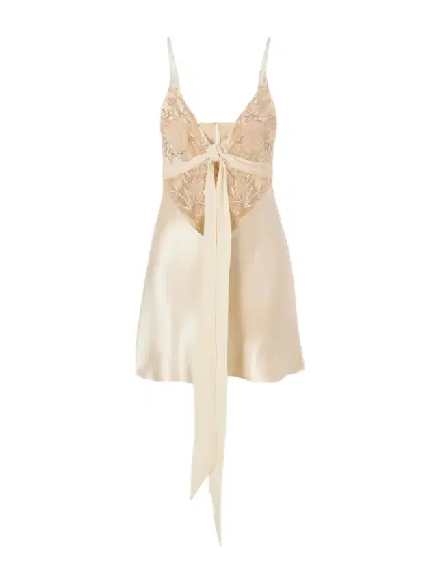 Wiederhoeft Blumen Tie-detailed Embroidered Silk Chiffon And Satin Mini Dress