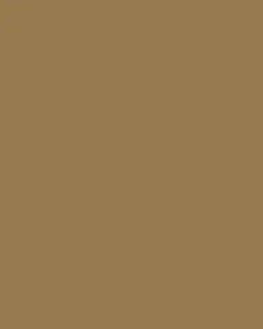 Anna Weatherley Colored Charger | Thumbnail 3