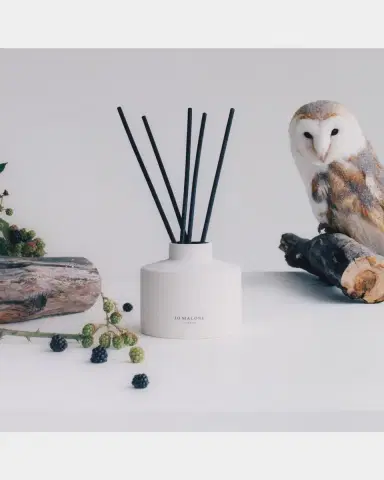 Jo Malone London 11.8 oz. Wild Berry & Bramble Diffuser | Thumbnail 3