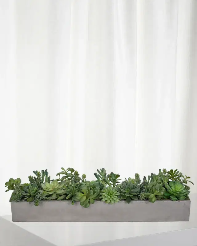 NDI Faux Succulent Plant in Rectangle Concrete Planter