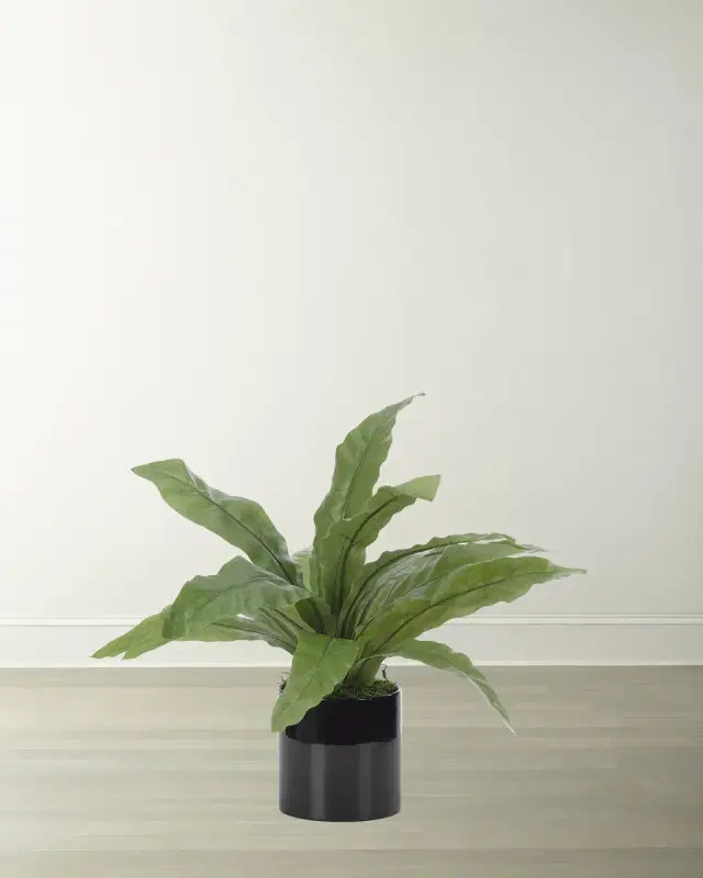 NDI Faux Bird Nest Fern Plant in Black Ceramic Planter