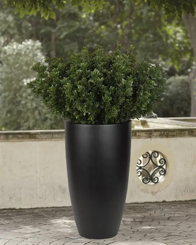 NDI Faux Boxwood Bush Plant in Black Planter, 62"T